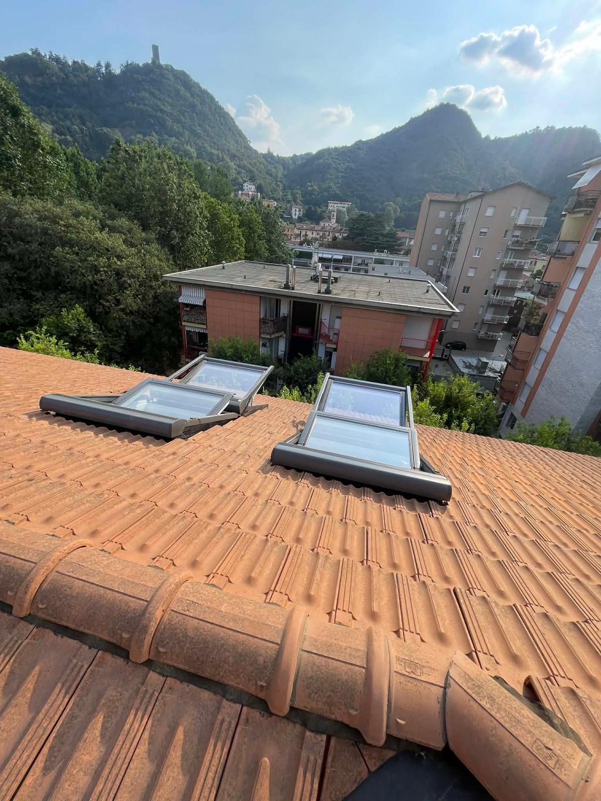 Due finestre VELUX installate con vista montagne